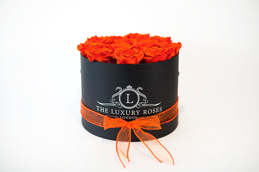 Project__Luxury_Roses_Of_LondonPhotoshoot18 Preserved Rose