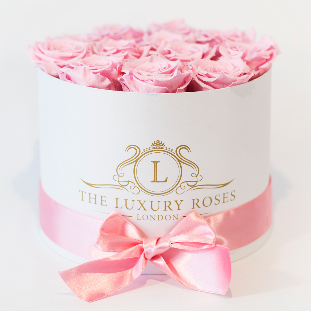 12blushpinkinmediumwhitebox1000x1000 Preserved Rose