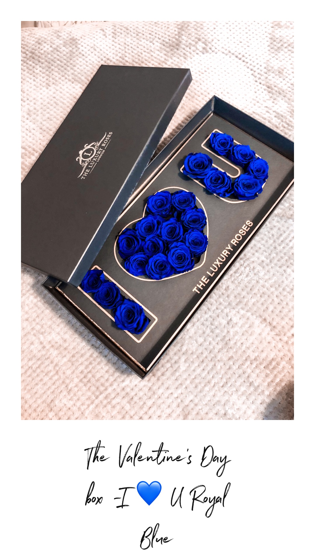 49F1B958-4917-445A-8F9A-952FF9E6D0D5